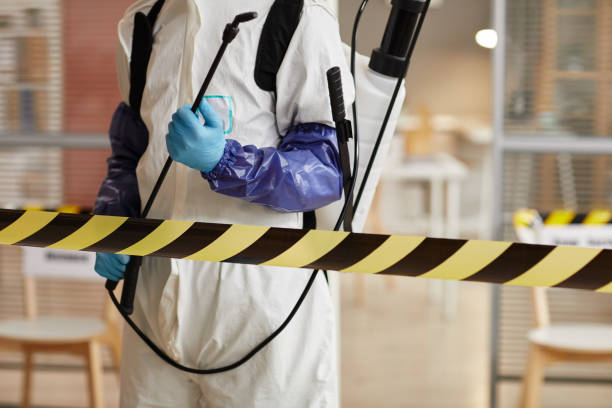 Professional Sewage Cleanup technician working in Palm Bay, FL