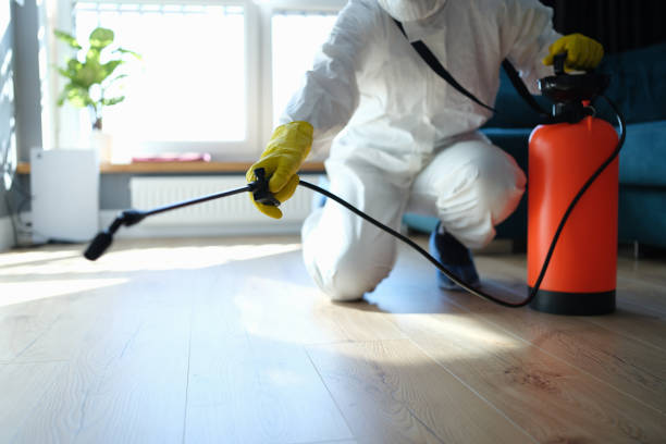 Reliable Sewage Cleanup contractor in Palm Bay, FL by Trauma Clean Pros